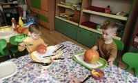 bees pumpkin day