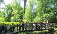  Ogród botaniczny