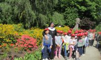  Ogród botaniczny