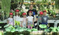  Ogród botaniczny
