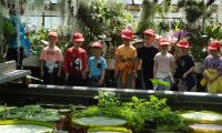  Ogród botaniczny