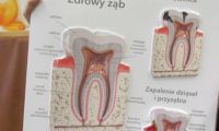 Przegląd stomatologiczny