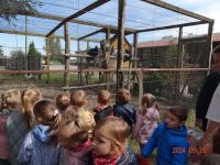 Czytaj więcej: Galeria - prace plastyczne