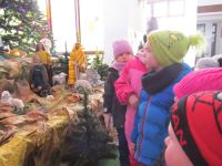 Czytaj więcej: Galeria - Biedronek