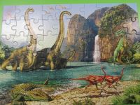 Czytaj więcej: Galeria - Biedronek