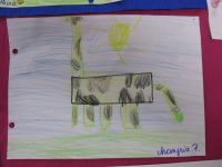 Czytaj więcej: Galeria - Biedronek