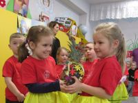 Czytaj więcej: Galeria - Biedronek