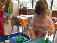 Czytaj więcej: Galeria - Biedronek