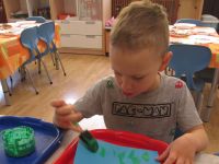 Czytaj więcej: Galeria - Biedronek