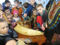 Czytaj więcej: Galeria - Biedronek