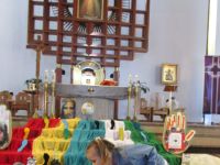 Czytaj więcej: Galeria - Biedronek