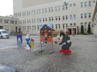 Czytaj więcej: Galeria - Biedronek