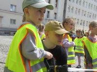 Czytaj więcej: Galeria - Biedronek