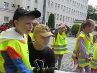 Czytaj więcej: Galeria - Biedronek