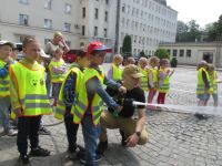 Czytaj więcej: Galeria - Biedronek