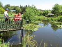 Czytaj więcej: Galeria - Biedronek