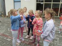 Czytaj więcej: Galeria - Biedronek
