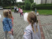 Czytaj więcej: Galeria - Biedronek