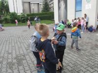 Czytaj więcej: Galeria - Biedronek