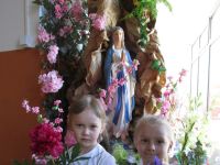Czytaj więcej: Galeria - Biedronek