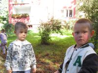 Czytaj więcej: Galeria - Biedronek