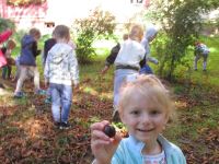 Czytaj więcej: Galeria - Biedronek