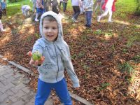 Czytaj więcej: Galeria - Biedronek