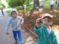 Czytaj więcej: Galeria - Biedronek