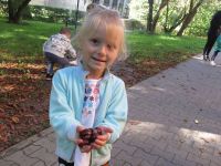 Czytaj więcej: Galeria - Biedronek