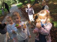 Czytaj więcej: Galeria - Biedronek