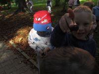 Czytaj więcej: Galeria - Biedronek