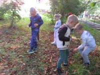 Czytaj więcej: Galeria - Biedronek