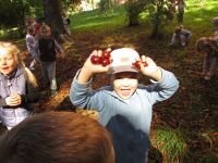 Czytaj więcej: Galeria - Biedronek