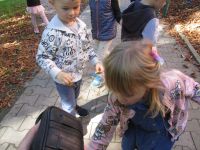 Czytaj więcej: Galeria - Biedronek