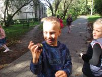 Czytaj więcej: Galeria - Biedronek