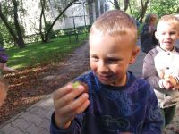 Czytaj więcej: Galeria - Biedronek