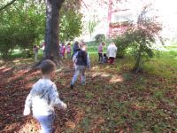 Czytaj więcej: Galeria - Biedronek