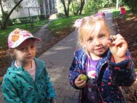 Czytaj więcej: Galeria - Biedronek