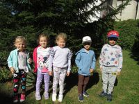 Czytaj więcej: Galeria - Biedronek