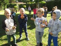 Czytaj więcej: Galeria - Biedronek