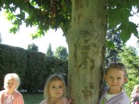 Czytaj więcej: Galeria - Biedronek