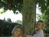 Czytaj więcej: Galeria - Biedronek