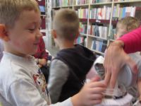 Czytaj więcej: Galeria - Biedronek