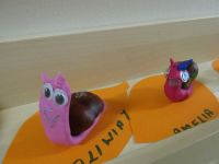 Czytaj więcej: Galeria - Biedronek