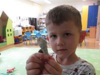 Czytaj więcej: Galeria - Biedronek