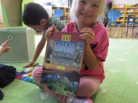 Czytaj więcej: Galeria - Biedronek