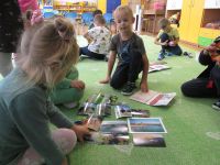 Czytaj więcej: Galeria - Biedronek