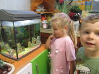 Czytaj więcej: Galeria - Biedronek