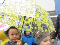 Czytaj więcej: Galeria - Biedronek