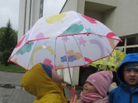 Czytaj więcej: Galeria - Biedronek